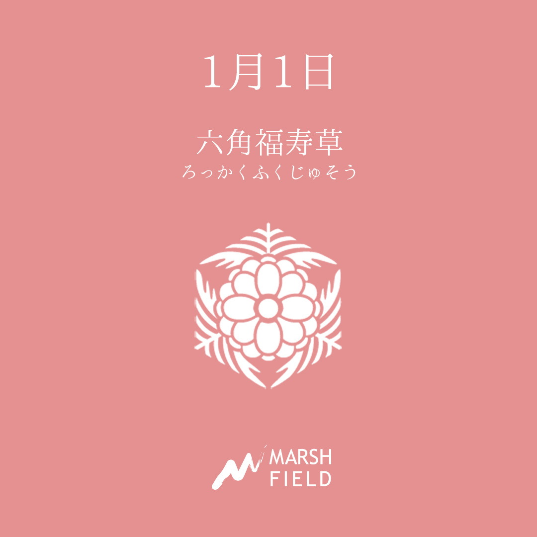マーシュの日めくりごよみ✾1月1日