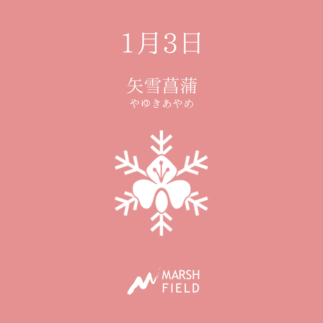 マーシュの日めくりごよみ✾1月3日