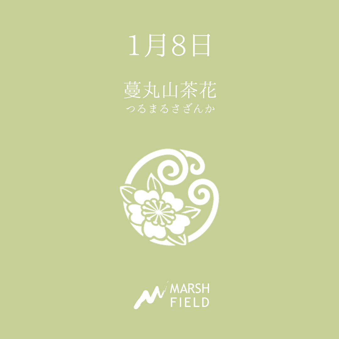 マーシュの日めくりごよみ✾1月8日