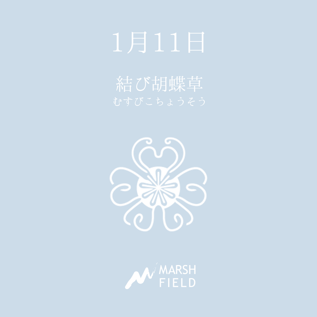 マーシュの日めくりごよみ✾1月11日