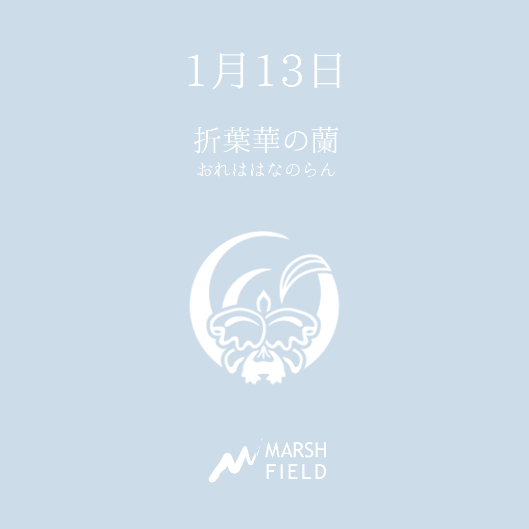 マーシュの日めくりごよみ✾1月13日