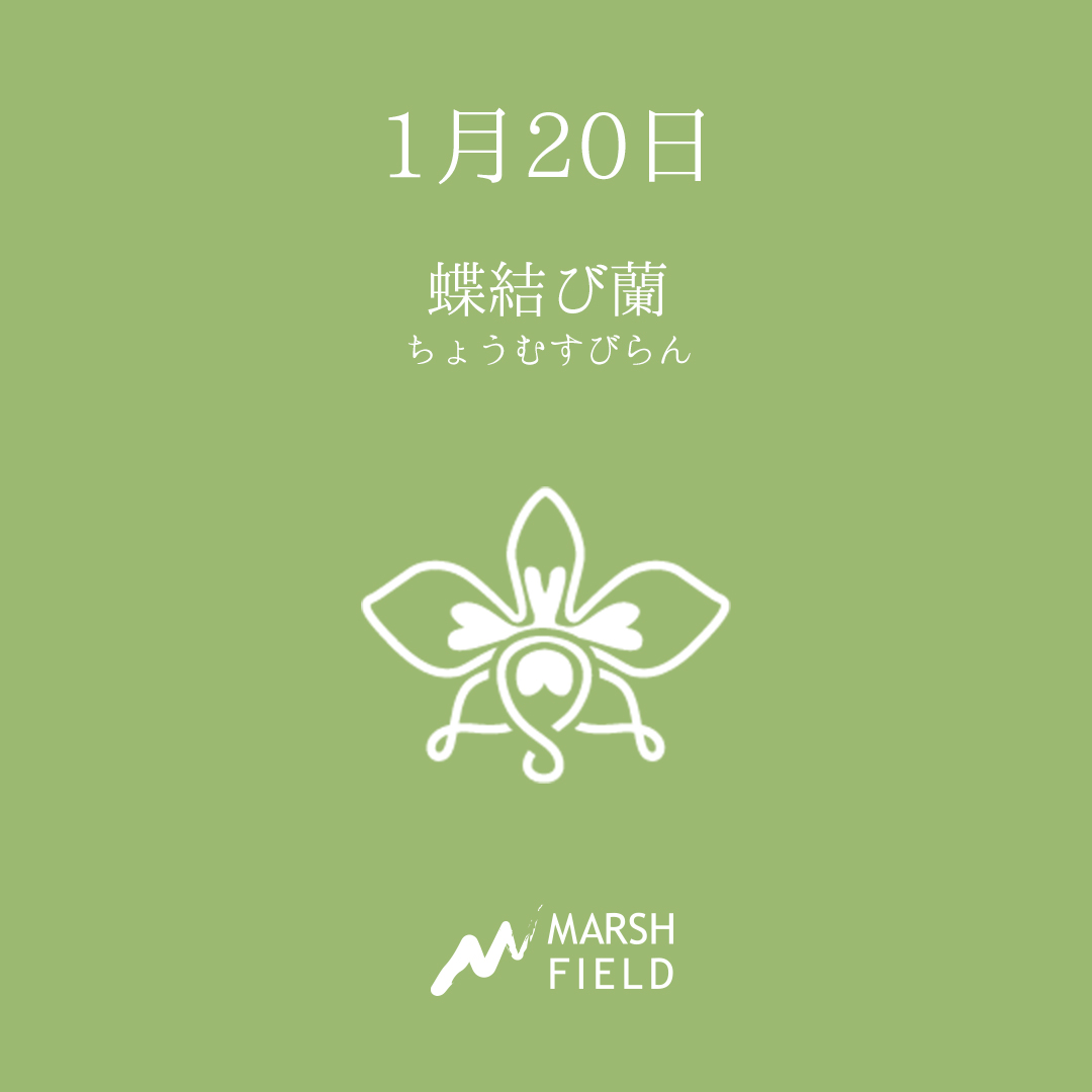 マーシュの日めくりごよみ✾1月20日