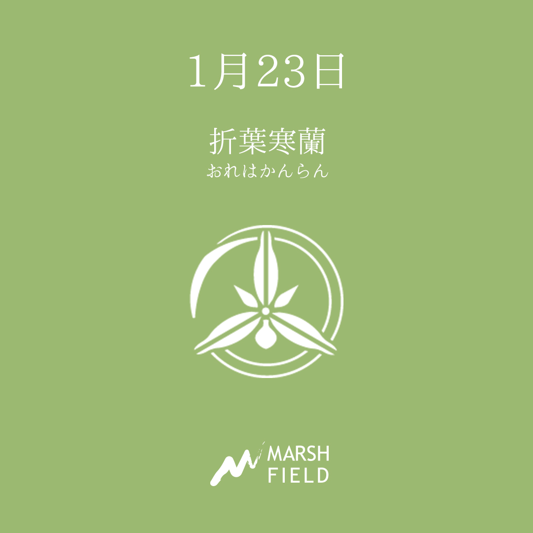 マーシュの日めくりごよみ✾1月23日