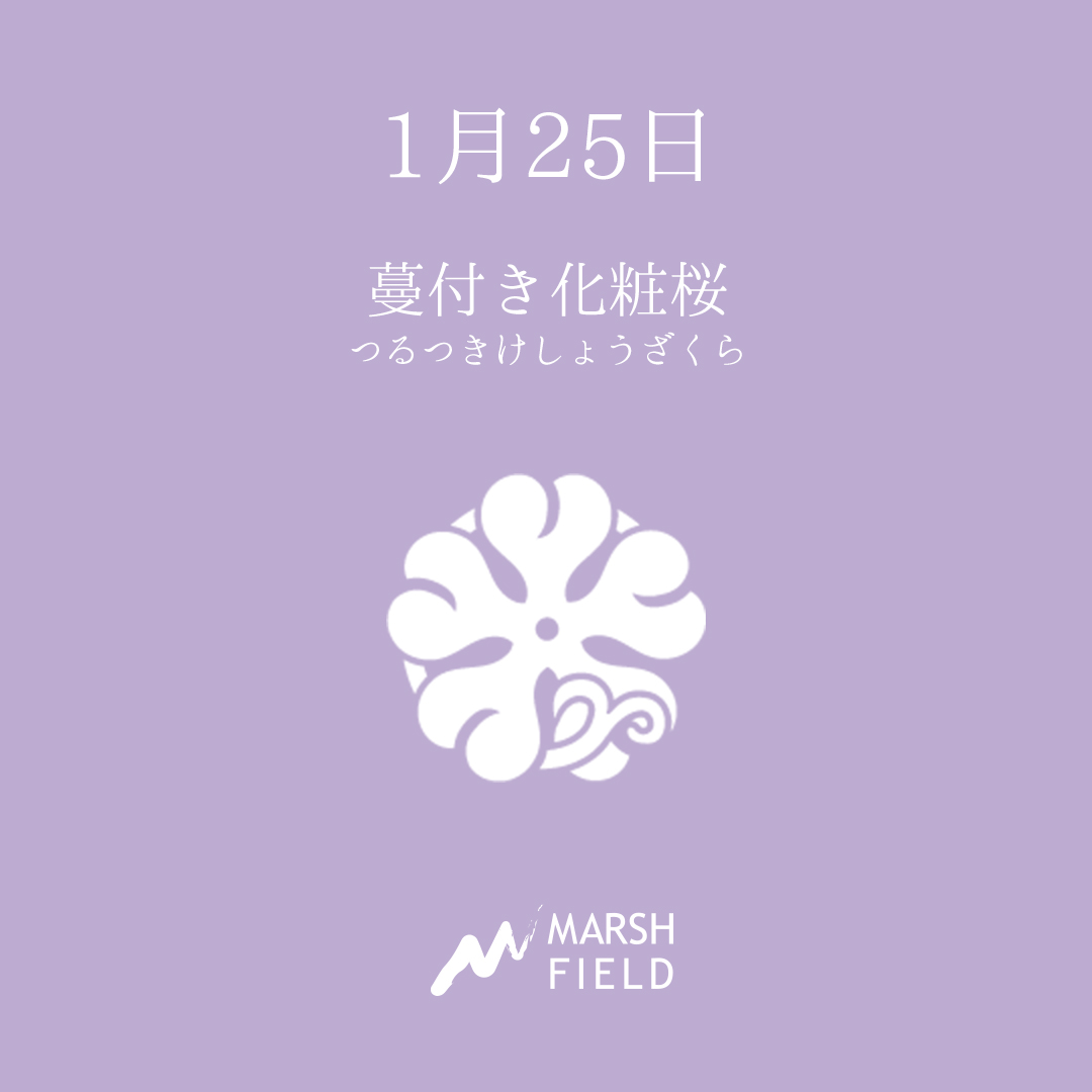 マーシュの日めくりごよみ✾1月25日