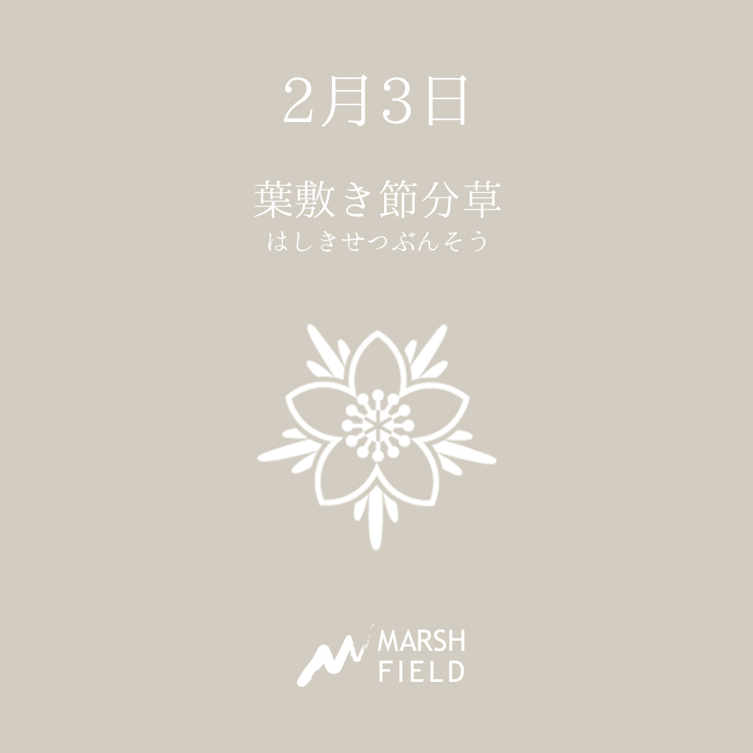マーシュの日めくりごよみ✾2月3日