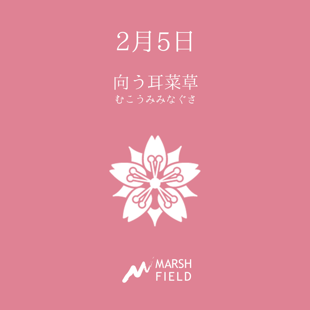 マーシュの日めくりごよみ✾2月5日