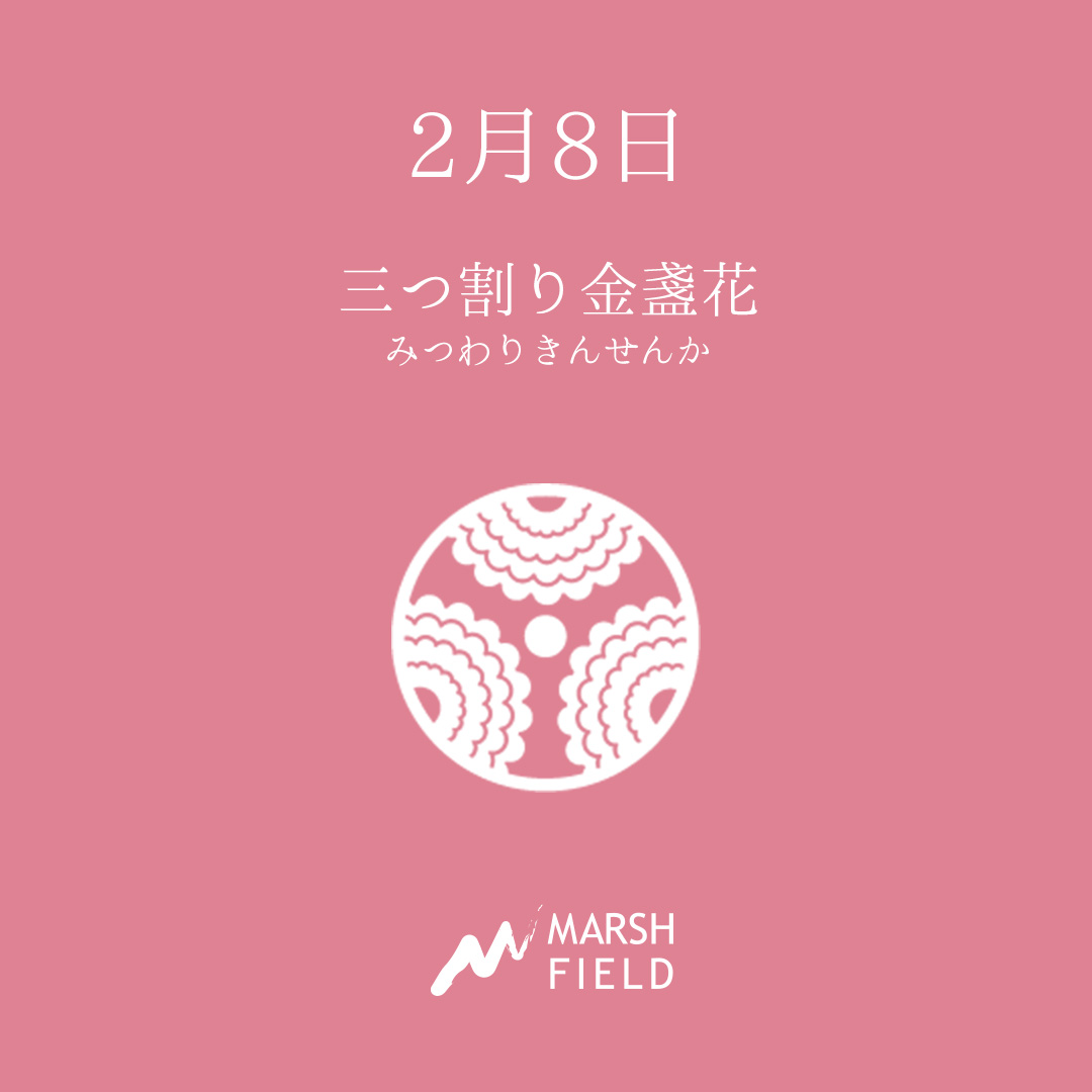 マーシュの日めくりごよみ✾2月8日