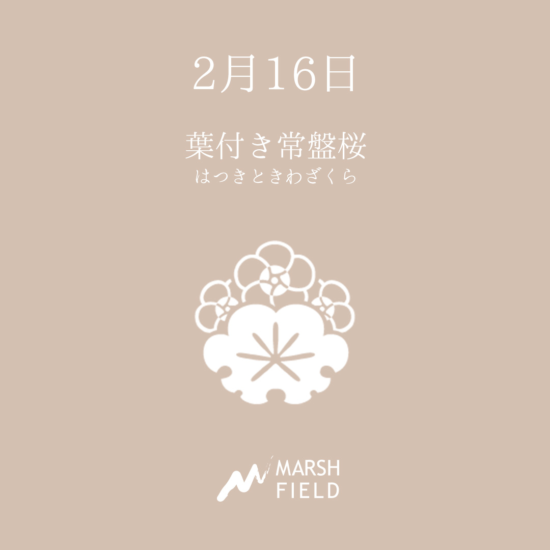 マーシュの日めくりごよみ✾2月16日