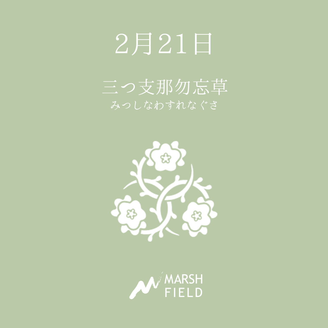 マーシュの日めくりごよみ✾2月21日