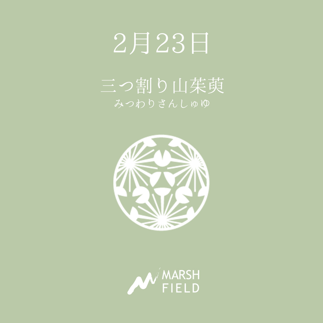 マーシュの日めくりごよみ✾2月23日