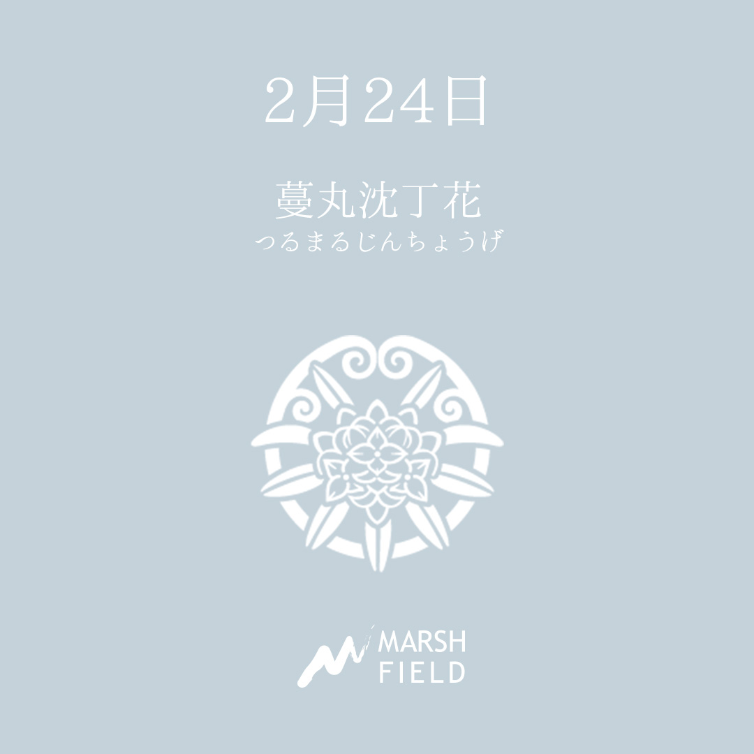 マーシュの日めくりごよみ✾2月24日