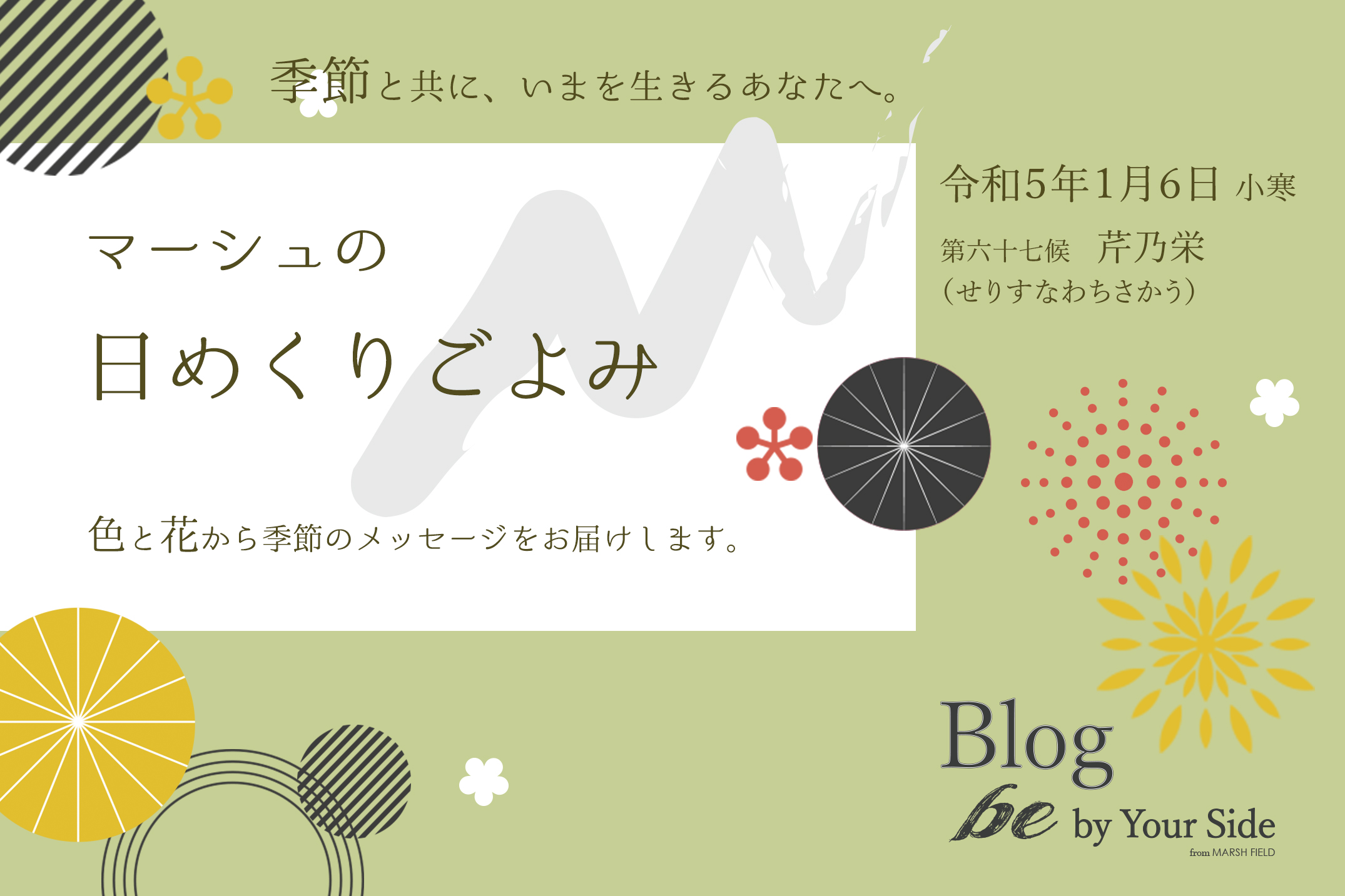 マーシュの日めくりごよみ✾芹乃栄(せりすなわちさかう)