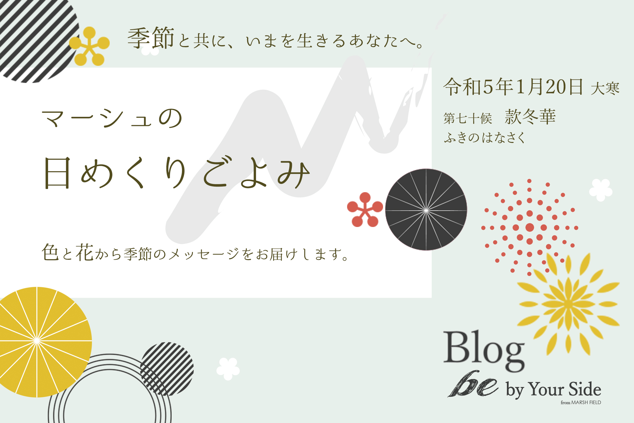マーシュの日めくりごよみ✾款冬華（ふきのはなさく）