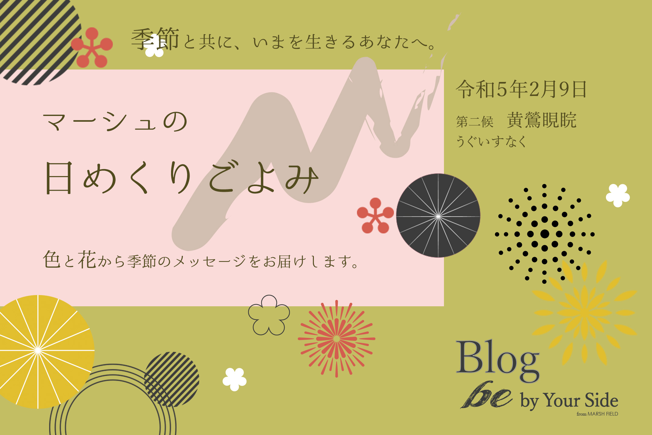 マーシュの日めくりごよみ✾黄鶯睍睆（うぐいすなく）