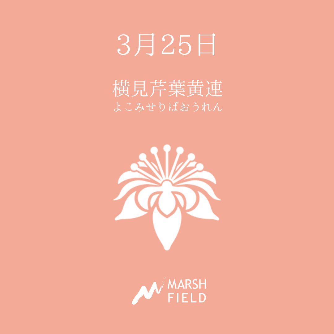 マーシュの日めくりごよみ✾3月25日