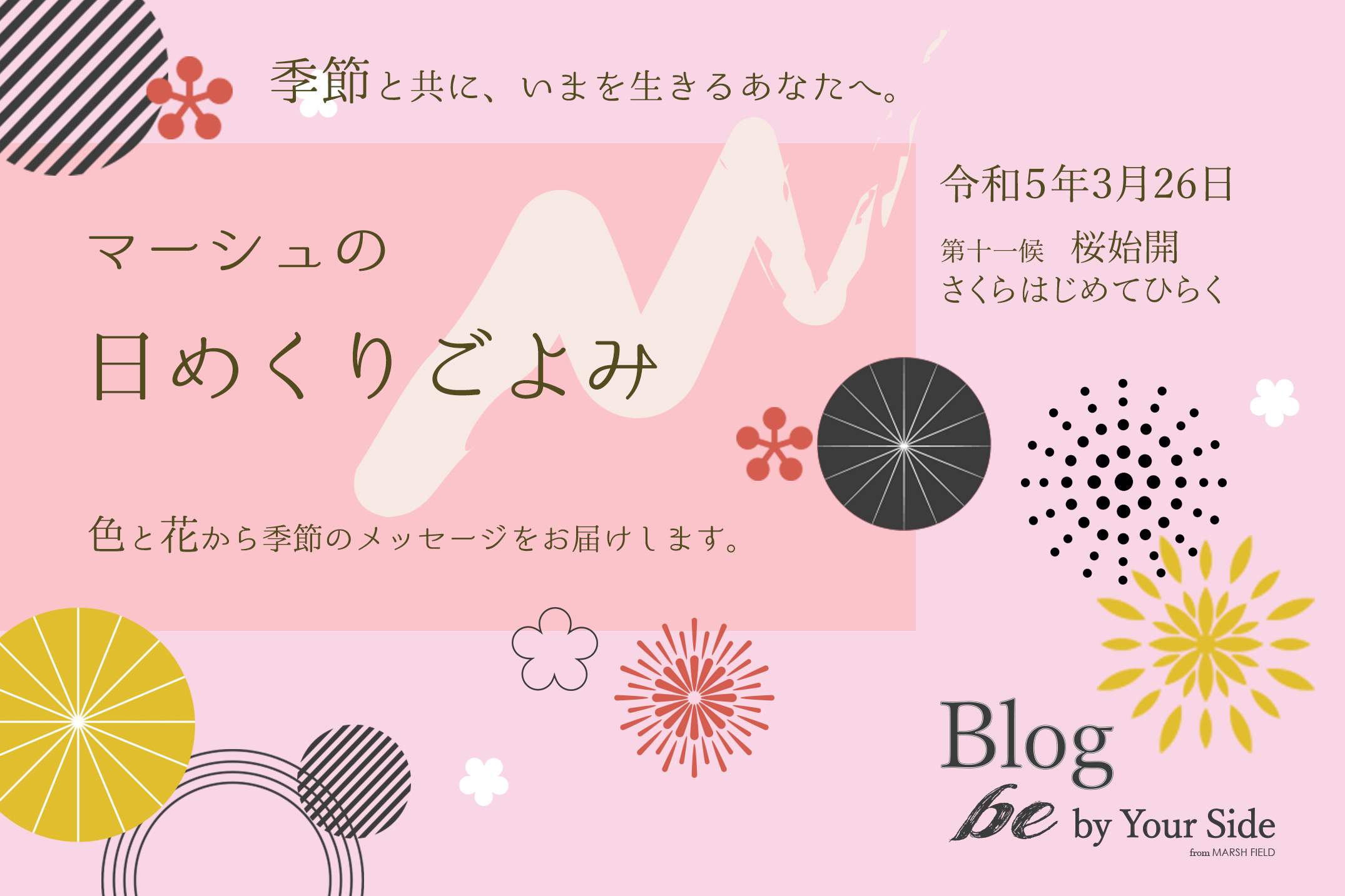 マーシュの日めくりごよみ✾桜始開(さくらはじめてひらく)