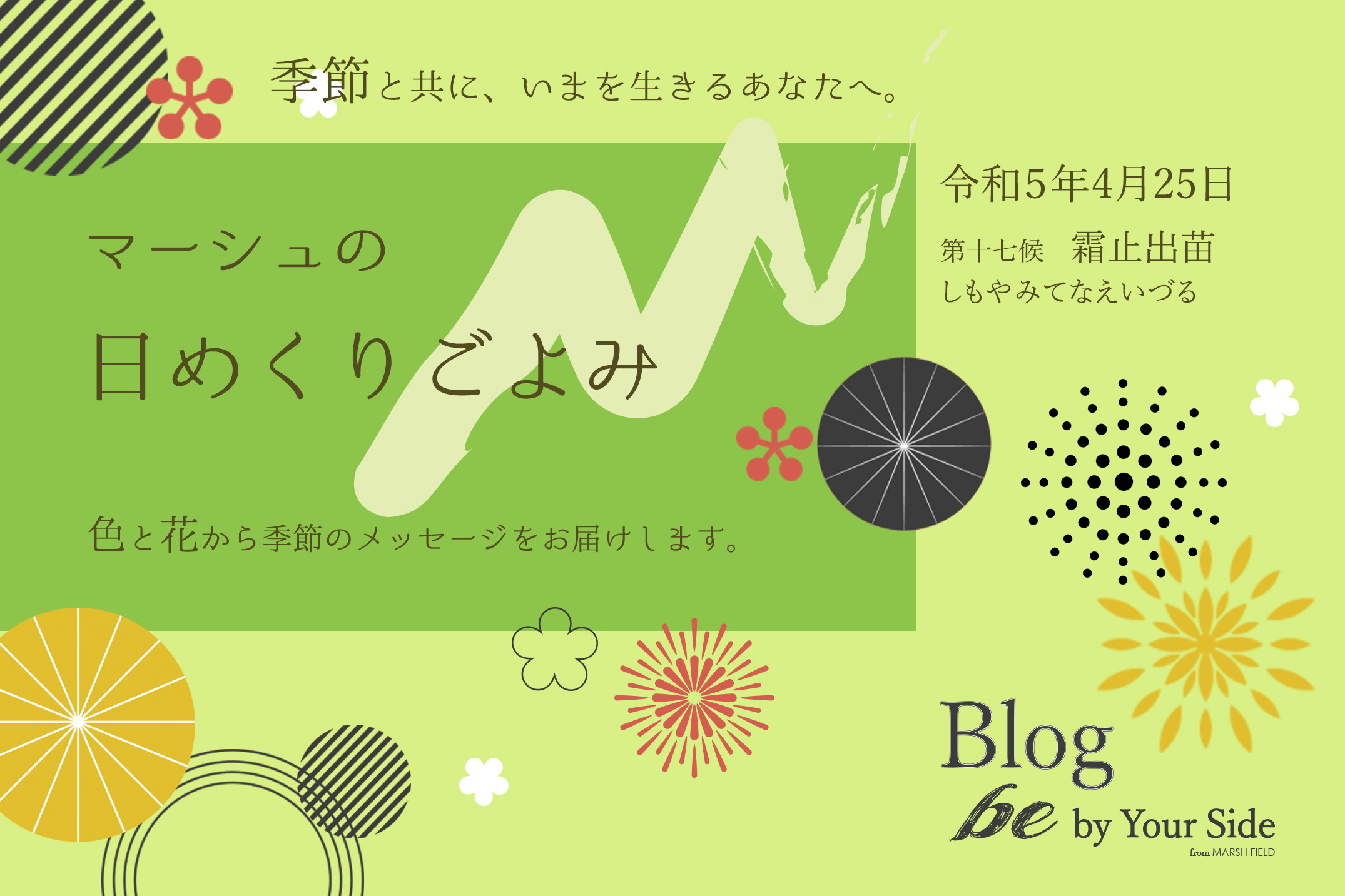 マーシュの日めくりごよみ✾霜止出苗（しもやみてなえいづる）