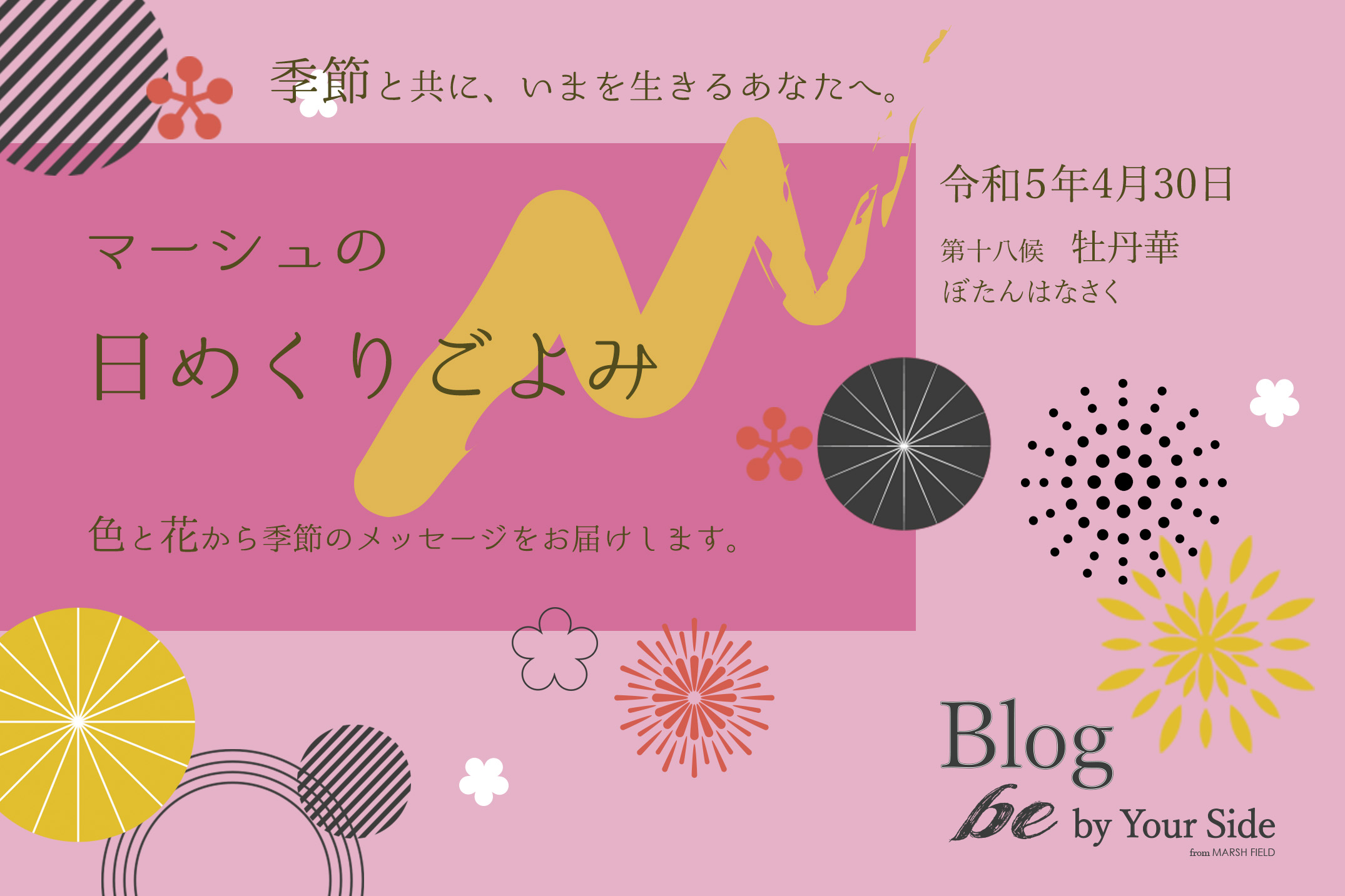 マーシュの日めくりごよみ✾牡丹華（ぼたんはなさく）