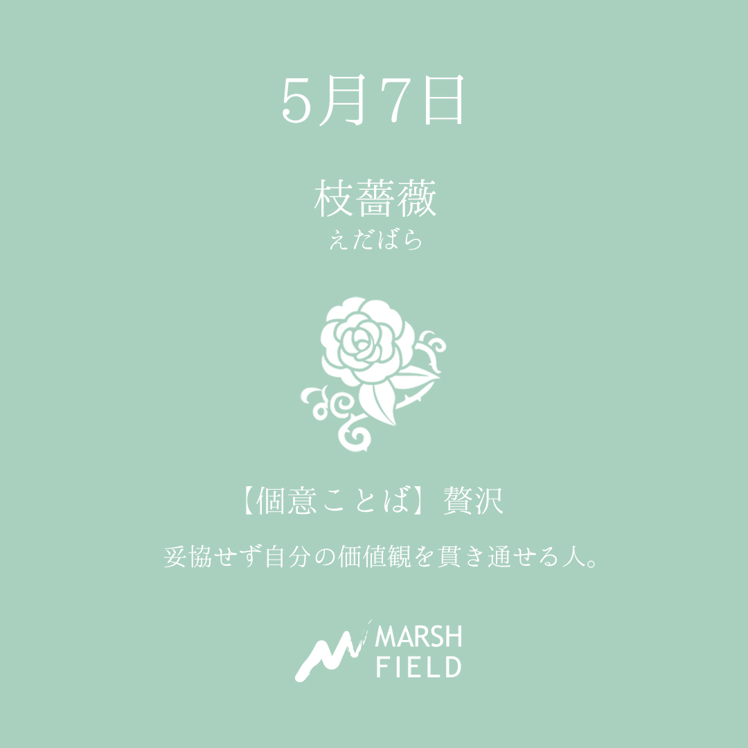 マーシュの日めくりごよみ✾5月7日