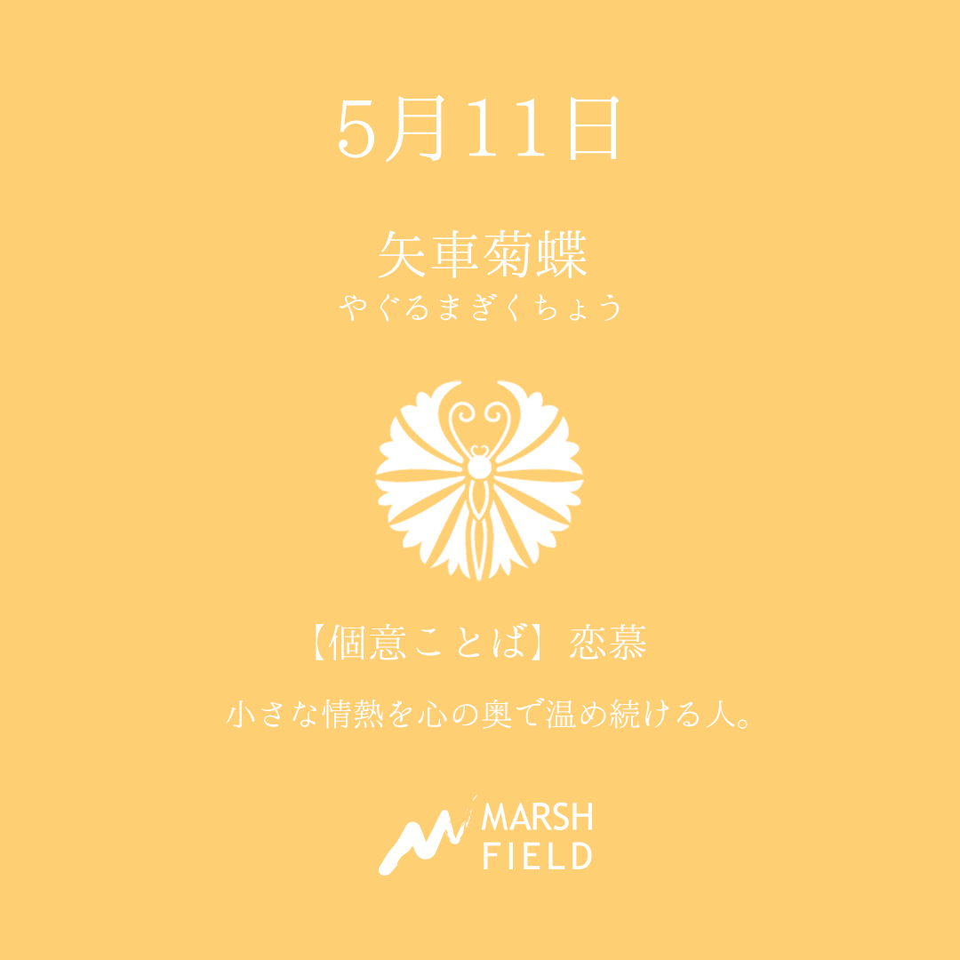 マーシュの日めくりごよみ✾5月11日