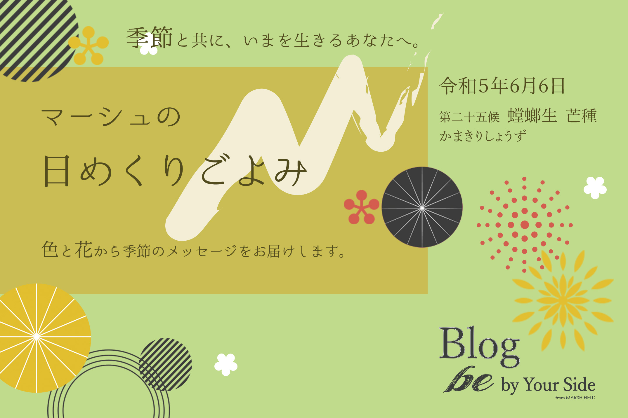 マーシュの日めくりごよみ✾螳螂生(かまきりしょうず)