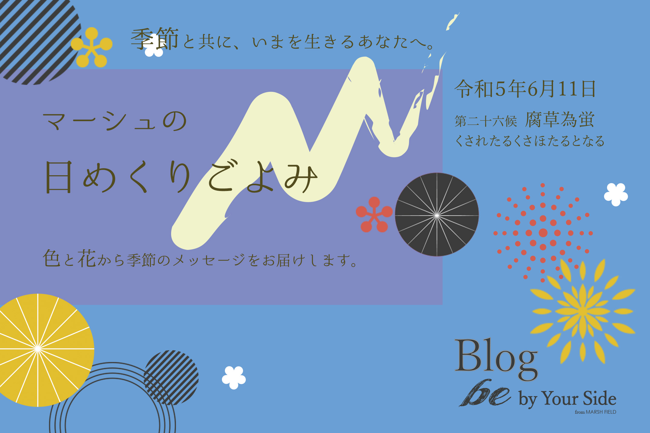 マーシュの日めくりごよみ✾腐草為蛍(くされたるくさほたるとなる)