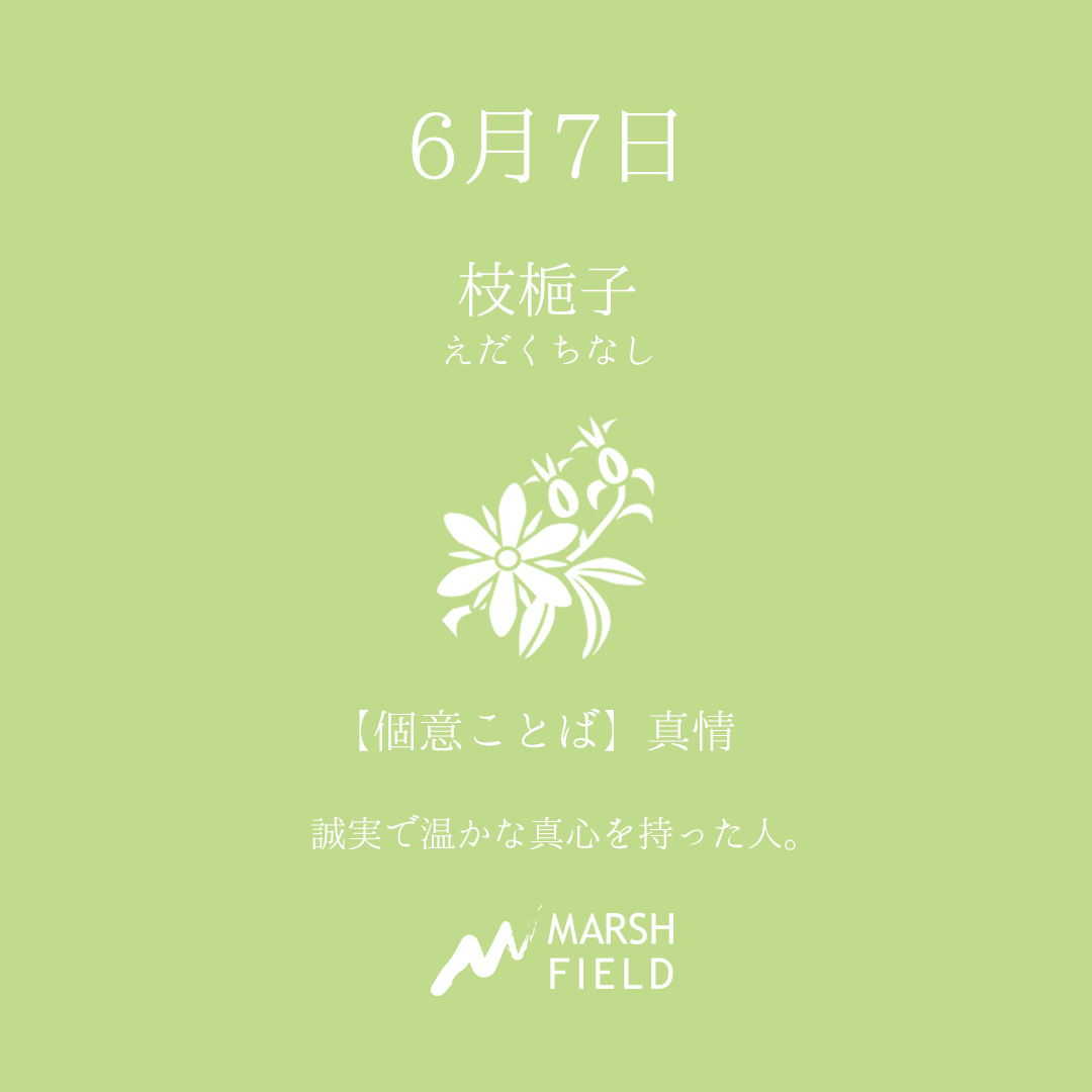 マーシュの日めくりごよみ✾6月7日