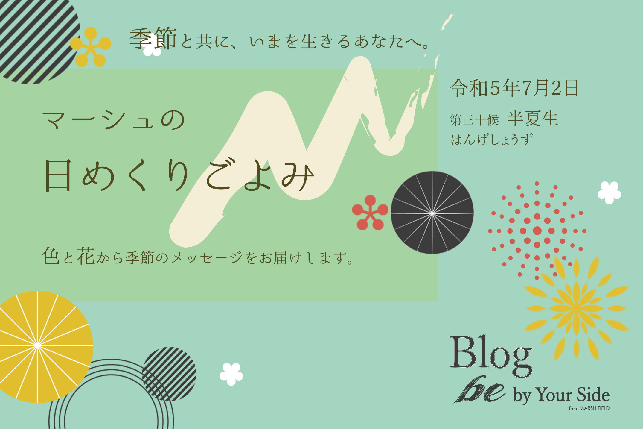 マーシュの日めくりごよみ✾半夏生(はんげしょうず)