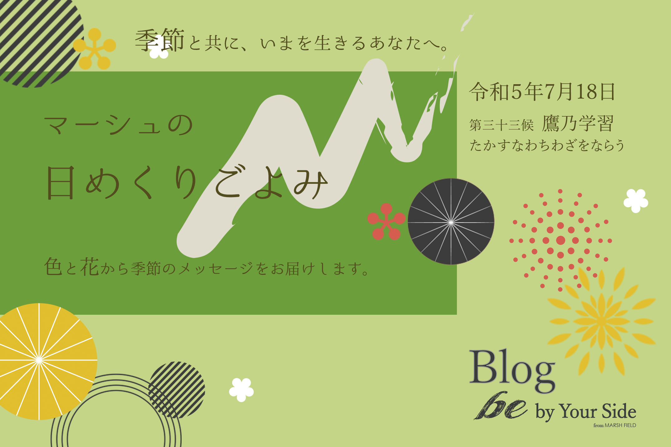 マーシュの日めくりごよみ✾鷹乃学習（たかすなわちわざをならう）