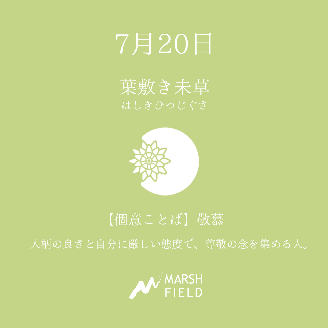 マーシュの日めくりごよみ✾7月20日