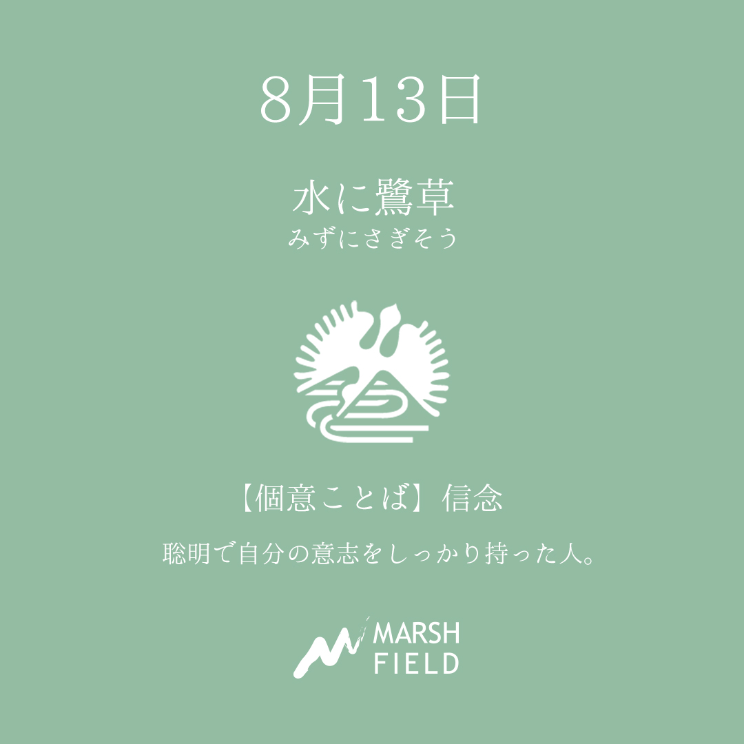 マーシュの日めくりごよみ✾8月13日