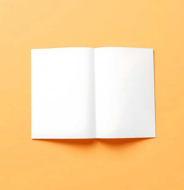 MARSH FIELD通信イメージ画像