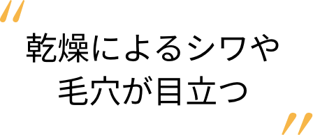 乾燥によるシワや毛穴が目立つ