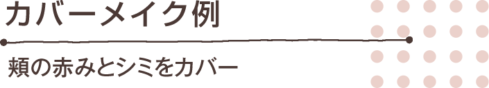 カバーメイク例