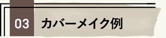 03 カバーメイク例