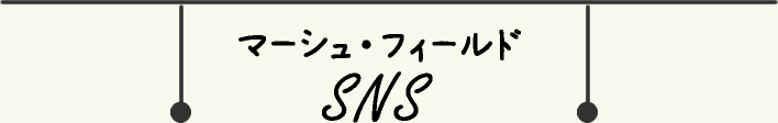 マーシュ・フィールドSNS